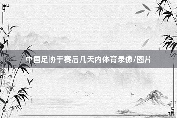 中国足协于赛后几天内体育录像/图片