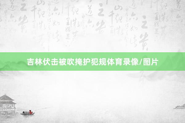 吉林伏击被吹掩护犯规体育录像/图片